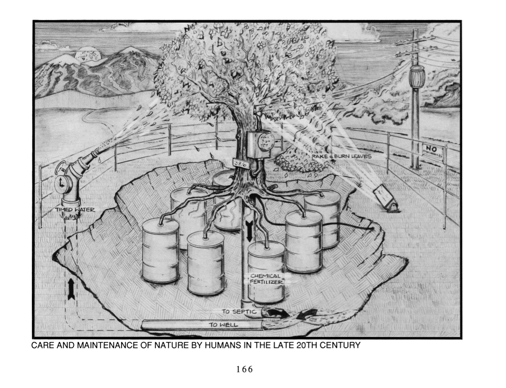 Earthship Volume 3: Evolution Beyond Economics