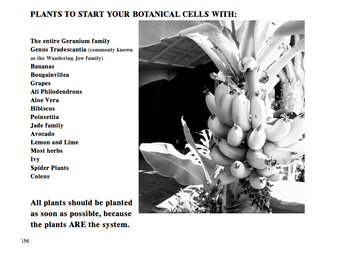 Water From The Sky & Comfort BUNDLE