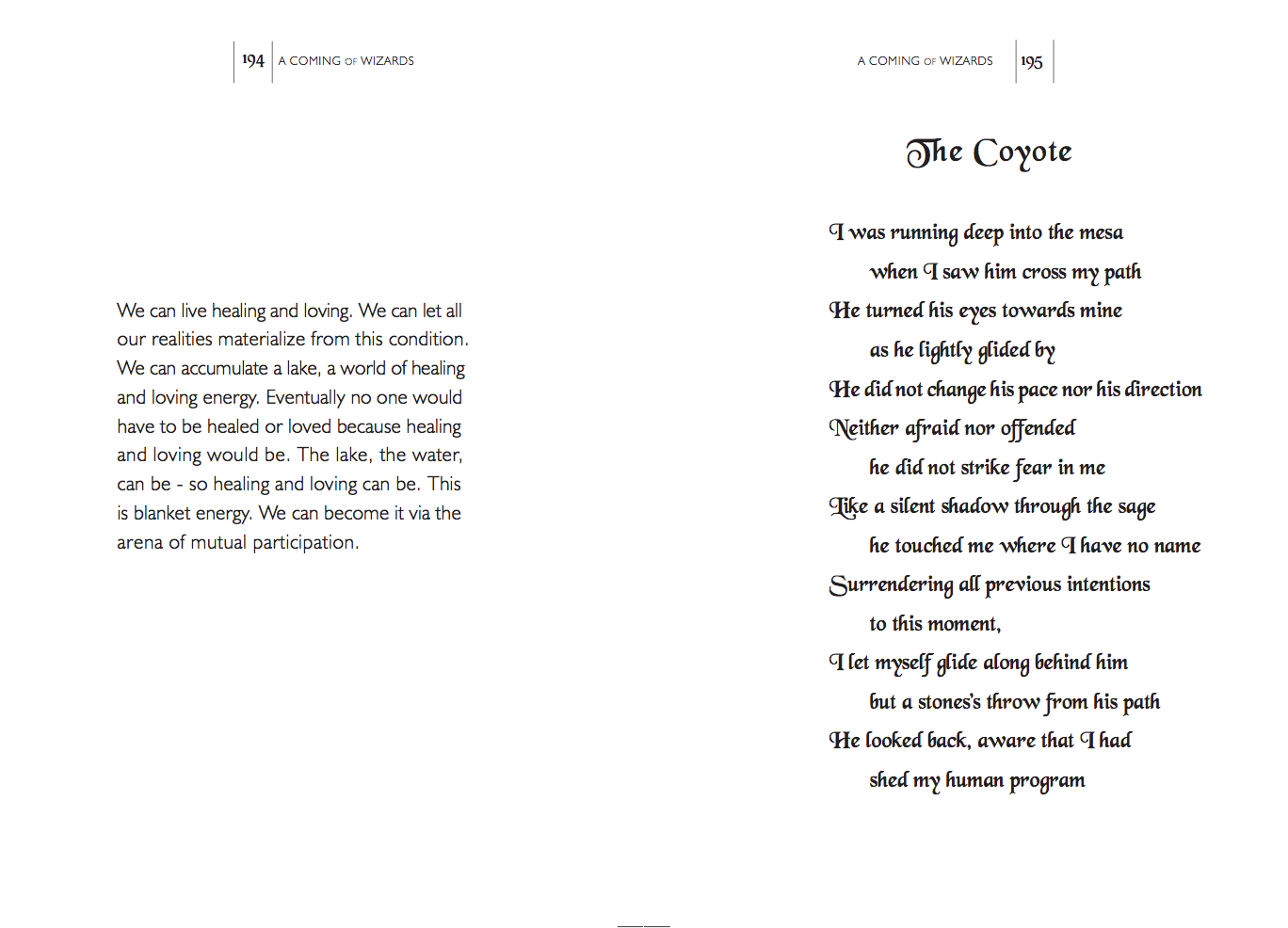 Wizards Chapter 3