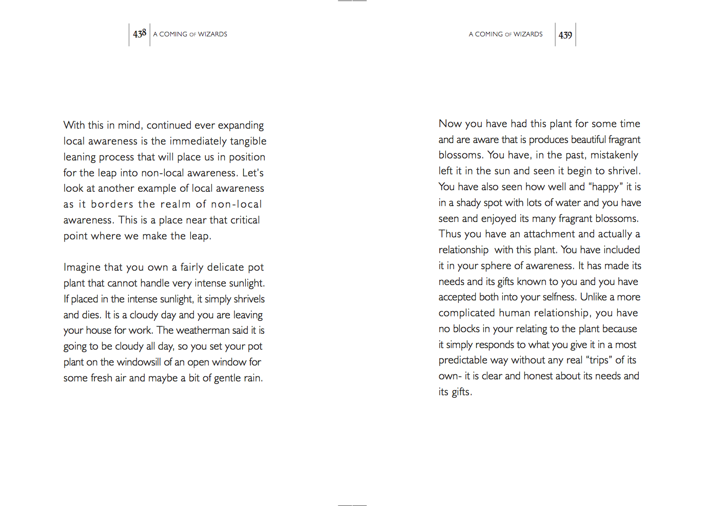 Wizards Chapter 7
